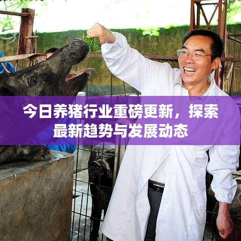 今日養(yǎng)豬行業(yè)重磅更新，探索最新趨勢(shì)與發(fā)展動(dòng)態(tài)