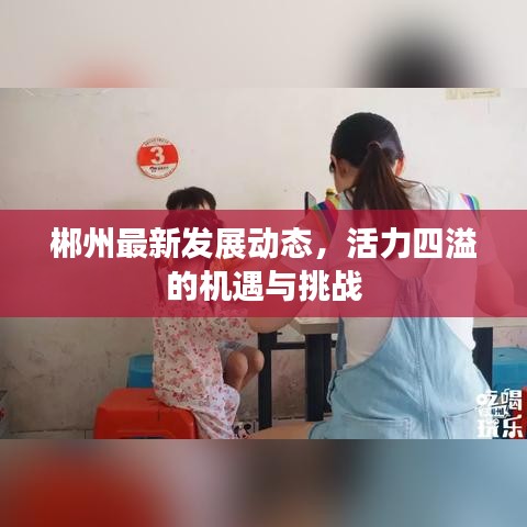 郴州最新發(fā)展動(dòng)態(tài)，活力四溢的機(jī)遇與挑戰(zhàn)