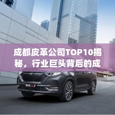 成都皮革公司TOP10揭秘，行業(yè)巨頭背后的成功故事解讀