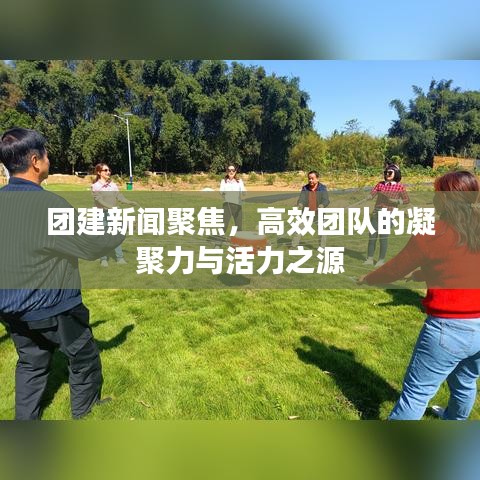 團(tuán)建新聞聚焦，高效團(tuán)隊(duì)的凝聚力與活力之源