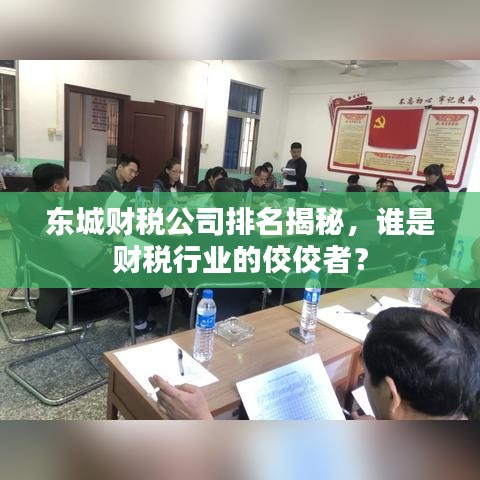 東城財(cái)稅公司排名揭秘，誰是財(cái)稅行業(yè)的佼佼者？