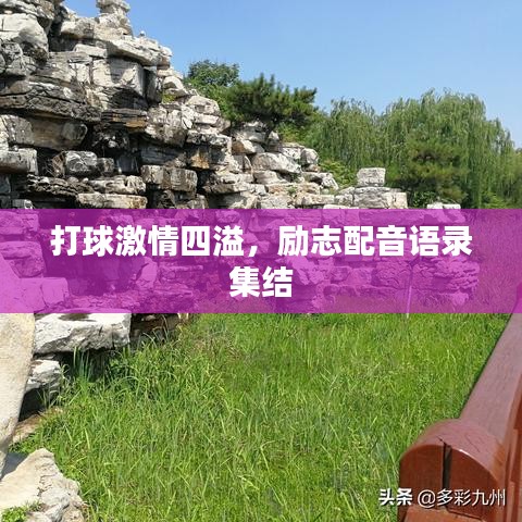 打球激情四溢，勵志配音語錄集結(jié)