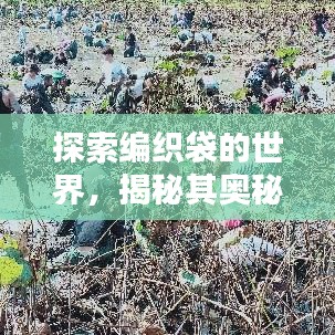 探索編織袋的世界，揭秘其奧秘與用途
