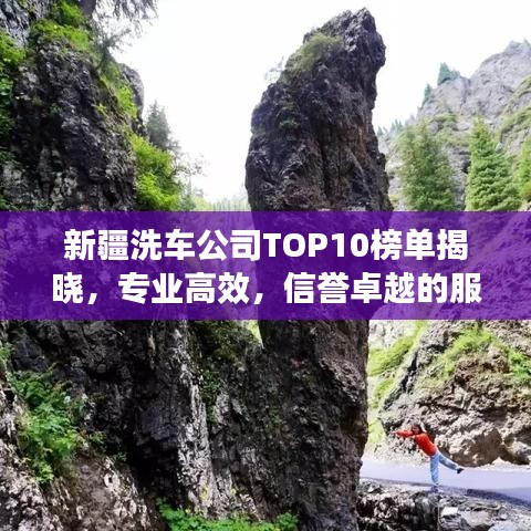 新疆洗車(chē)公司TOP10榜單揭曉，專(zhuān)業(yè)高效，信譽(yù)卓越的服務(wù)商