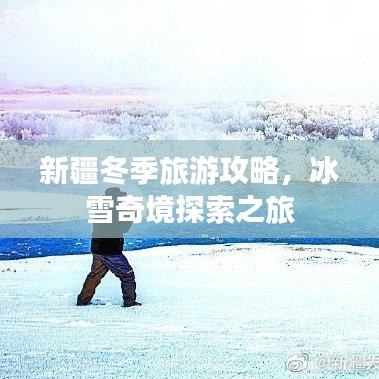 新疆冬季旅游攻略，冰雪奇境探索之旅