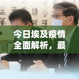 今日埃及疫情全面解析，最新動態(tài)與應對建議