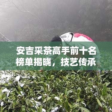 安吉采茶高手前十名榜單揭曉，技藝傳承的璀璨篇章，誰(shuí)將榮登榜首？