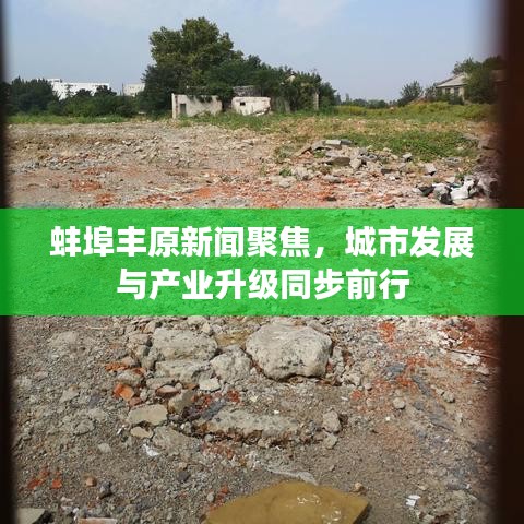 蚌埠豐原新聞聚焦，城市發(fā)展與產(chǎn)業(yè)升級同步前行