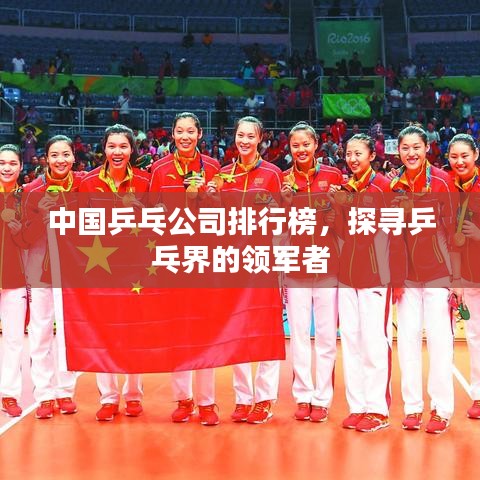 中國(guó)乒乓公司排行榜，探尋乒乓界的領(lǐng)軍者