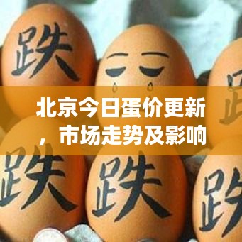 北京今日蛋價更新，市場走勢及影響因素深度解析