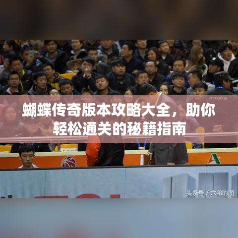 蝴蝶傳奇版本攻略大全，助你輕松通關(guān)的秘籍指南