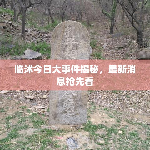 臨沭今日大事件揭秘，最新消息搶先看