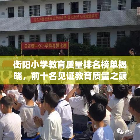 衡陽(yáng)小學(xué)教育質(zhì)量排名榜單揭曉，前十名見(jiàn)證教育質(zhì)量之巔