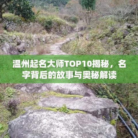 溫州起名大師TOP10揭秘，名字背后的故事與奧秘解讀