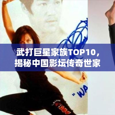 武打巨星家族TOP10，揭秘中國影壇傳奇世家榜單