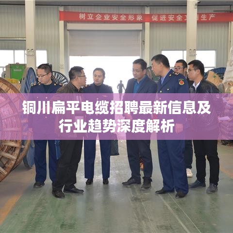 銅川扁平電纜招聘最新信息及行業(yè)趨勢深度解析