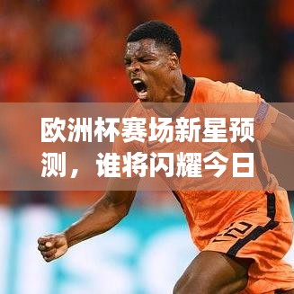 歐洲杯賽場新星預(yù)測，誰將閃耀今日？