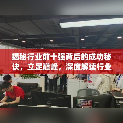 揭秘行業(yè)前十強背后的成功秘訣，立足巔峰，深度解讀行業(yè)巨頭之道