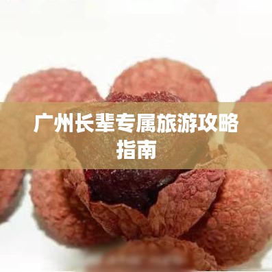 廣州長(zhǎng)輩專屬旅游攻略指南