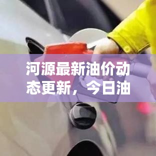 河源最新油價(jià)動(dòng)態(tài)更新，今日油價(jià)查詢及影響因素深度解析