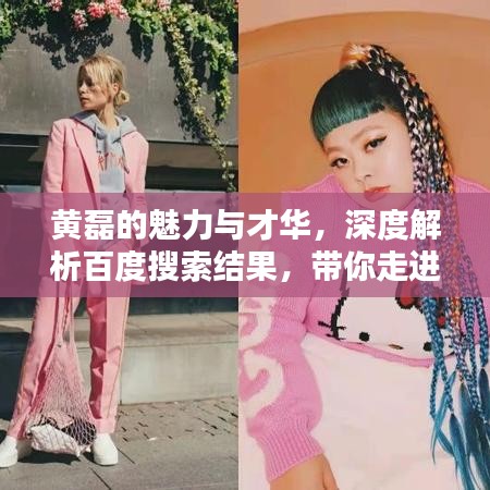 黃磊的魅力與才華，深度解析百度搜索結(jié)果，帶你走進(jìn)他的世界