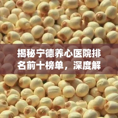 揭秘寧德養(yǎng)心醫(yī)院排名前十榜單，深度解讀與探討