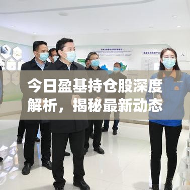 今日盈基持倉股深度解析，揭秘最新動態(tài)與策略布局