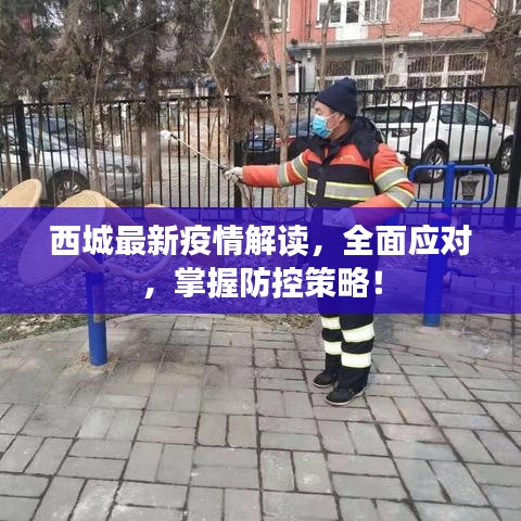 西城最新疫情解讀，全面應(yīng)對(duì)，掌握防控策略！