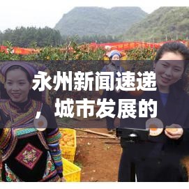 永州新聞速遞，城市發(fā)展的脈搏與活力四溢的熱點(diǎn)聚焦