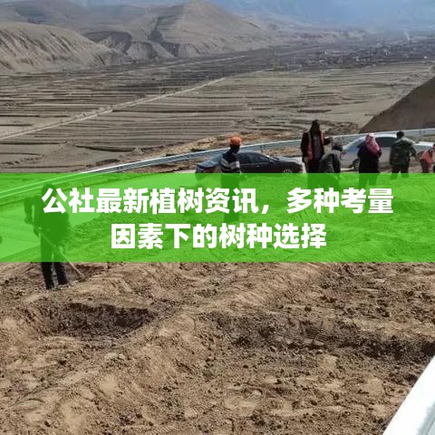 公社最新植樹資訊，多種考量因素下的樹種選擇