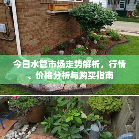 今日水管市場走勢解析，行情、價格分析與購買指南