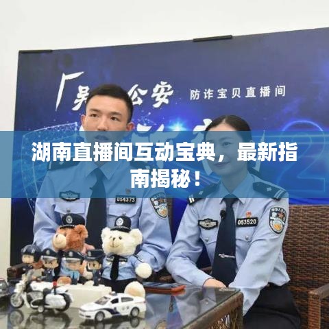 湖南直播間互動寶典，最新指南揭秘！