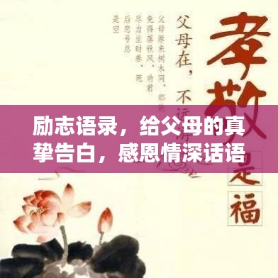勵志語錄，給父母的真摯告白，感恩情深話語匯聚