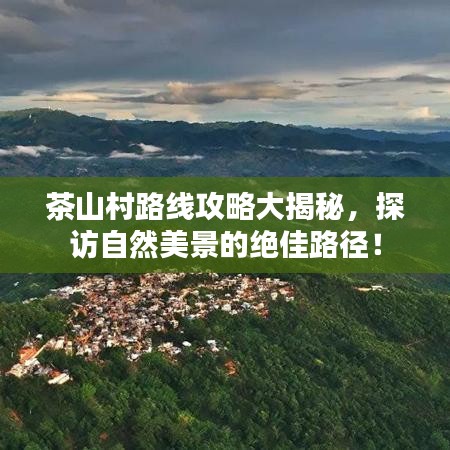 茶山村路線攻略大揭秘，探訪自然美景的絕佳路徑！