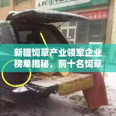 新疆飼草產(chǎn)業(yè)領軍企業(yè)榜單揭秘，前十名飼草企業(yè)大放異彩！