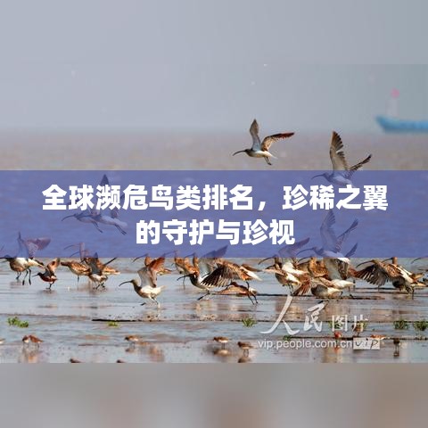 小家碧玉 第2頁