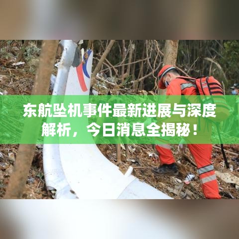 東航墜機(jī)事件最新進(jìn)展與深度解析，今日消息全揭秘！