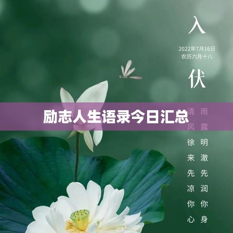 勵志人生語錄今日匯總