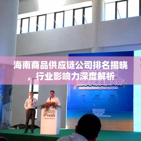 海南商品供應鏈公司排名揭曉，行業(yè)影響力深度解析