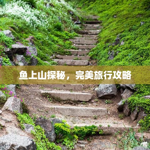 魚上山探秘，完美旅行攻略