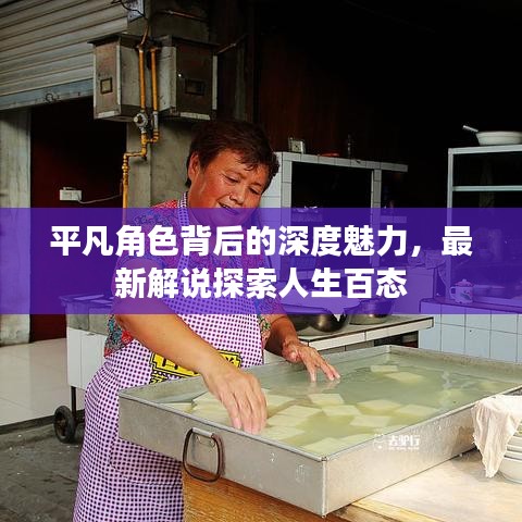 平凡角色背后的深度魅力，最新解說探索人生百態(tài)