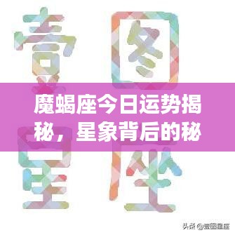 魔蝎座今日運(yùn)勢揭秘，星象背后的秘密探索