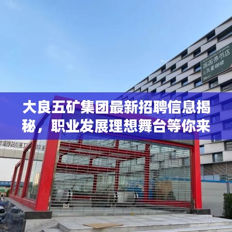 大良五礦集團(tuán)最新招聘信息揭秘，職業(yè)發(fā)展理想舞臺(tái)等你來探尋！