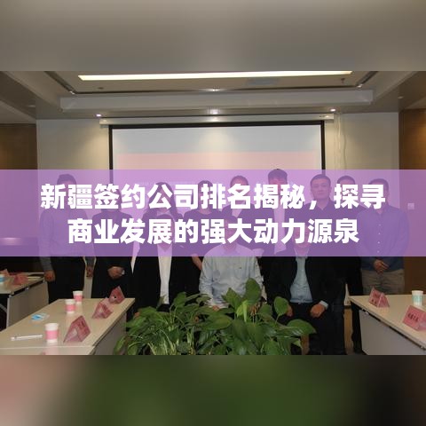 新疆簽約公司排名揭秘，探尋商業(yè)發(fā)展的強大動力源泉