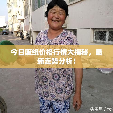 今日廢紙價(jià)格行情大揭秘，最新走勢分析！