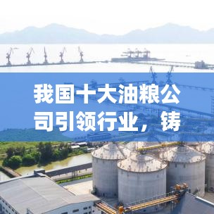 我國十大油糧公司引領(lǐng)行業(yè)，鑄就糧食安全堅實之盾