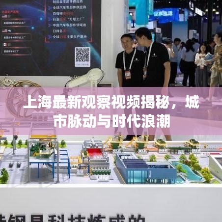 上海最新觀察視頻揭秘，城市脈動與時代浪潮