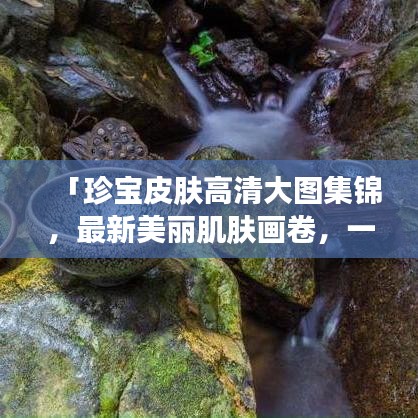 「珍寶皮膚高清大圖集錦，最新美麗肌膚畫卷，一次盡收眼底」