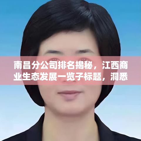 南昌分公司排名揭秘，江西商業(yè)生態(tài)發(fā)展一覽子標(biāo)題，洞悉江西商業(yè)發(fā)展脈絡(luò)