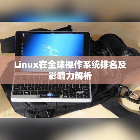 Linux在全球操作系統(tǒng)排名及影響力解析